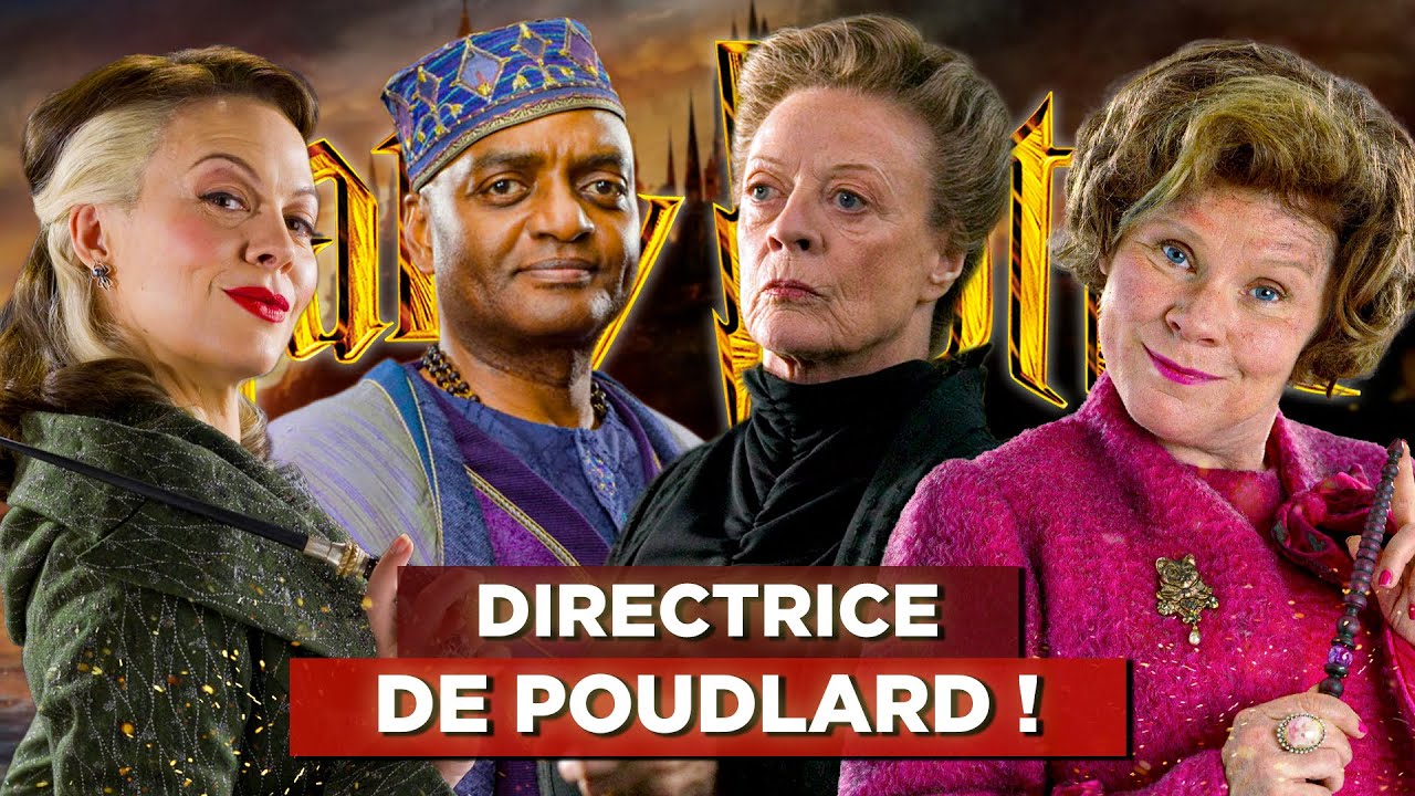QUE SONT-ILS DEVENUS ? Spécial Adultes (Harry Potter)