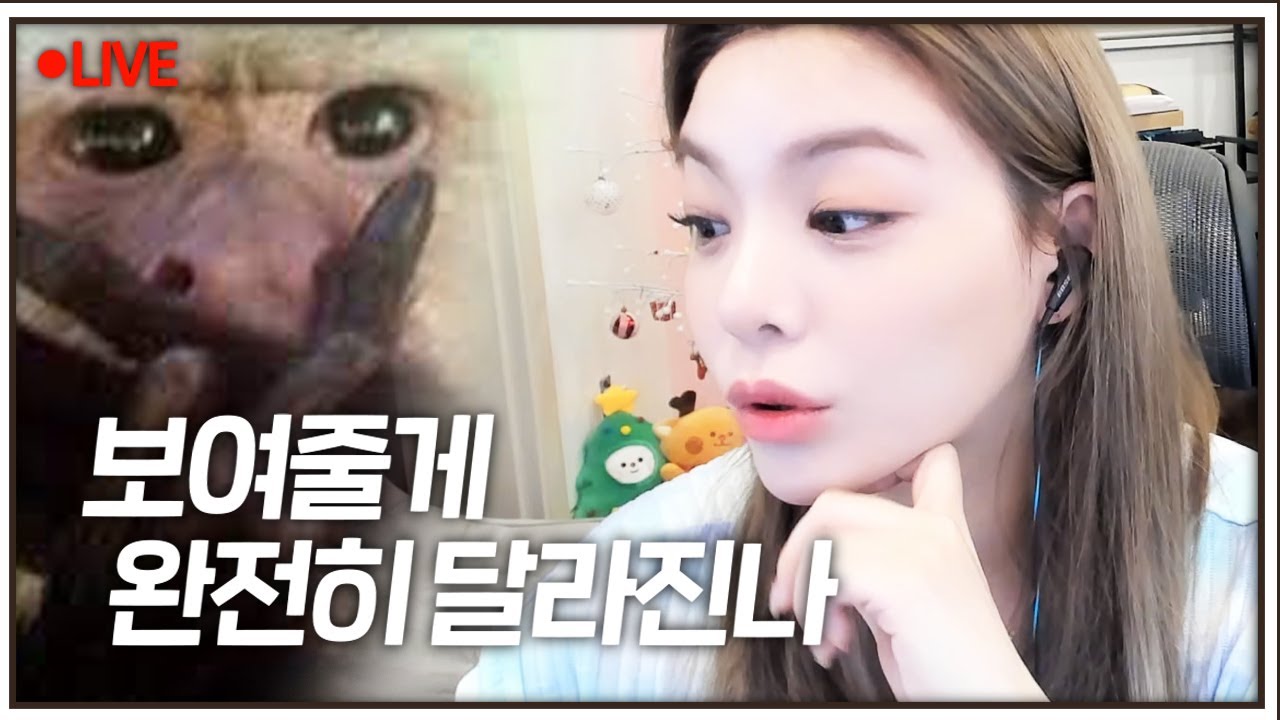 [배그] 랜덤 듀오 하면서 팀원에게 노래 불러줬어요!