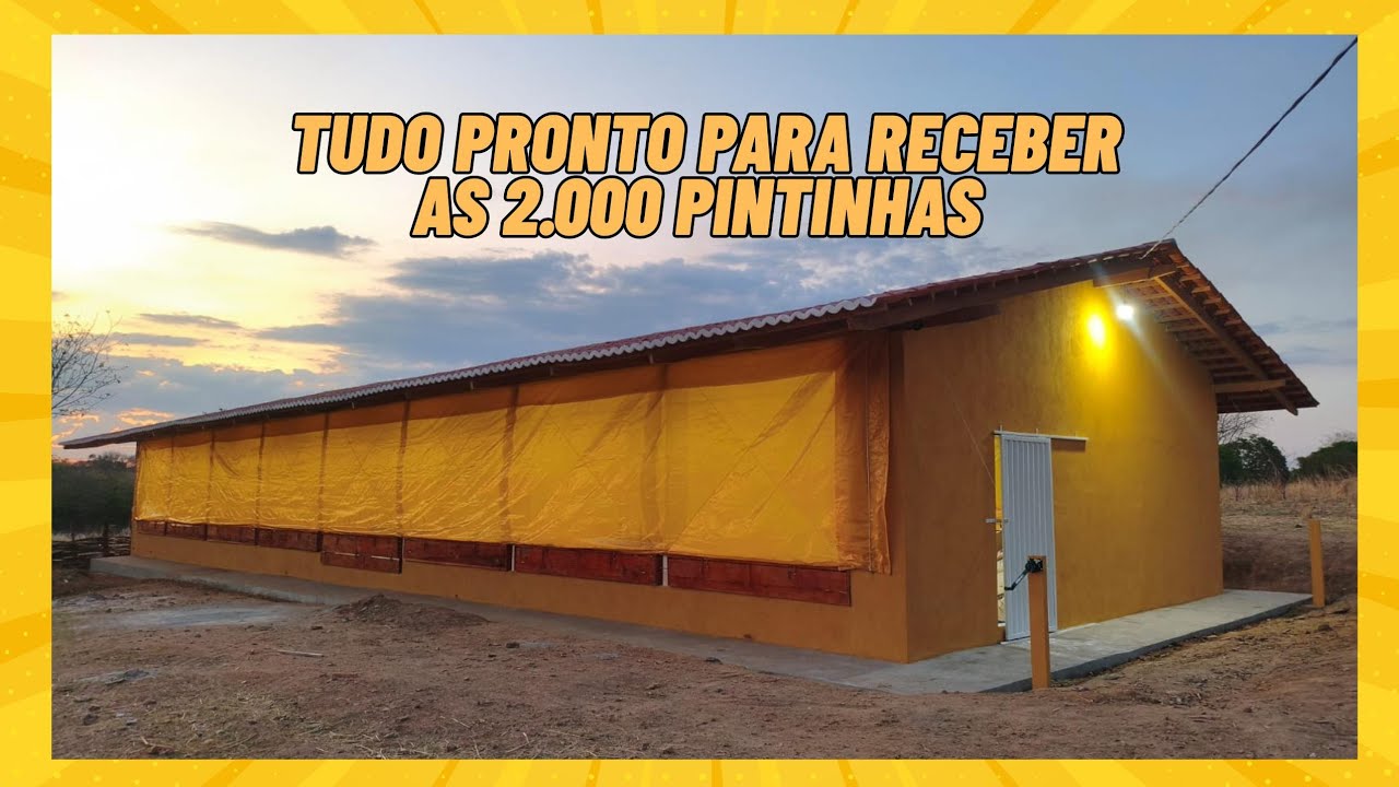 GALPÃO FINALIZADO COM SUCESSO 🐓🐥