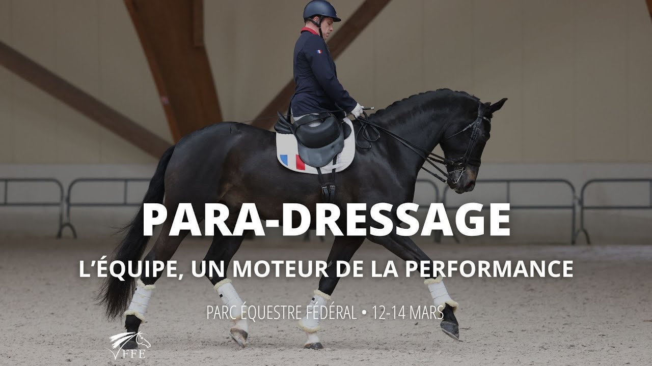 L'équipe, un moteur de la performance - Master Class de Para-dressage - mars 2024