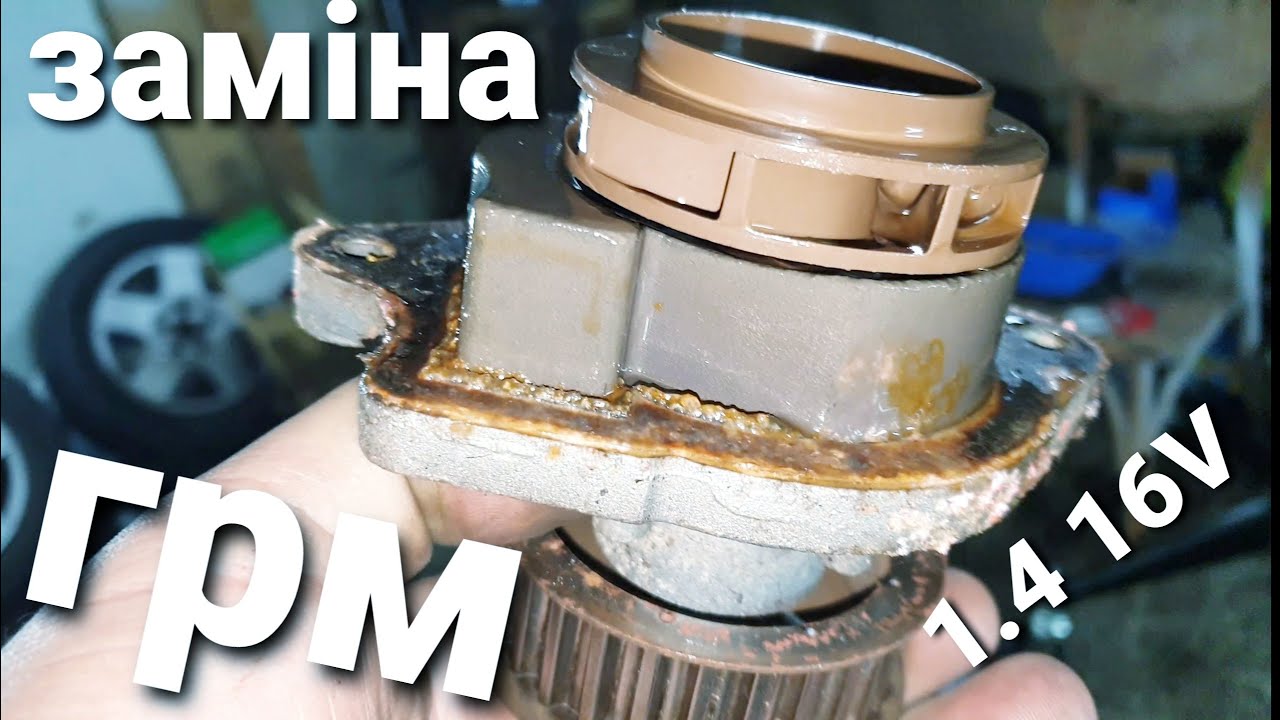 ЗАМЕНА комплекта ГРМ на VOLKSWAGEN GOLF IV 1.4 16V / насос / РЕМЕНЬ / натяжной ролик
