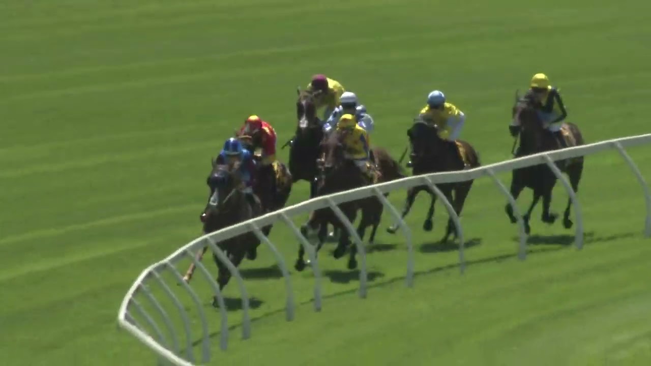 Скачки Ascot 1000 Guineas 2026 - WONDERFULLY MADE (3-летняя лошадь породы SWP LR F) В списке учас...