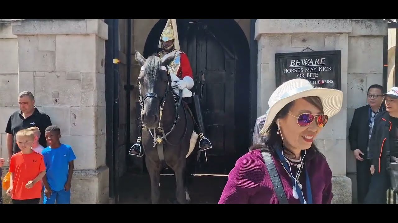 Don't touch the guard #thekingsguard