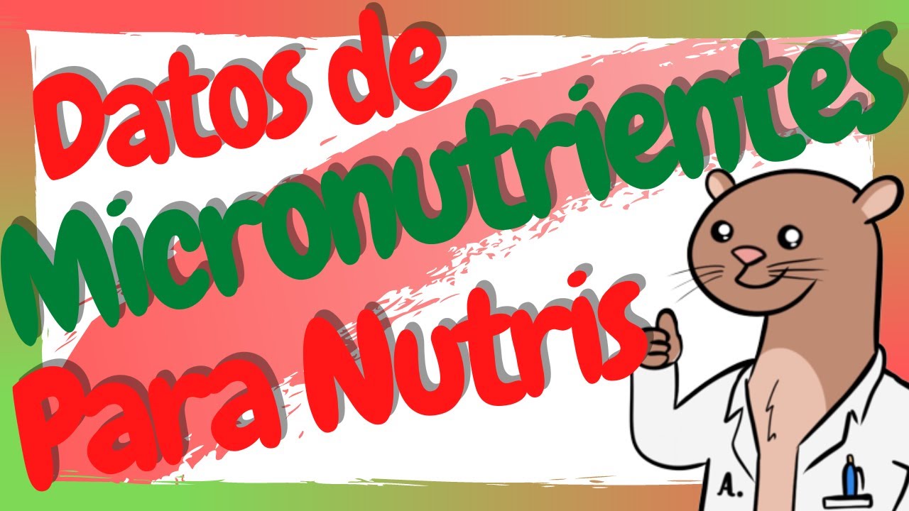 ¿Que son los micronutrientes?  Vitaminas y Minerales en Nutrición