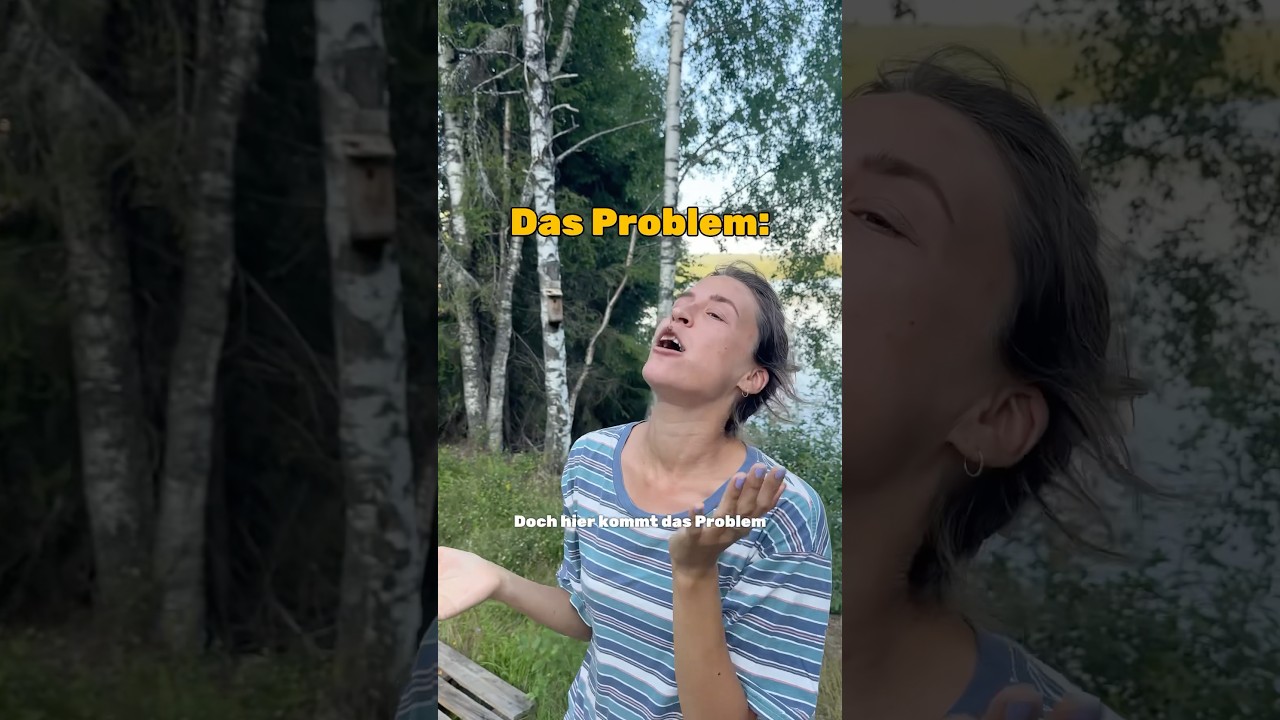 So schwer ist es ein SCHWEDENHAUS zu kaufen! #schweden