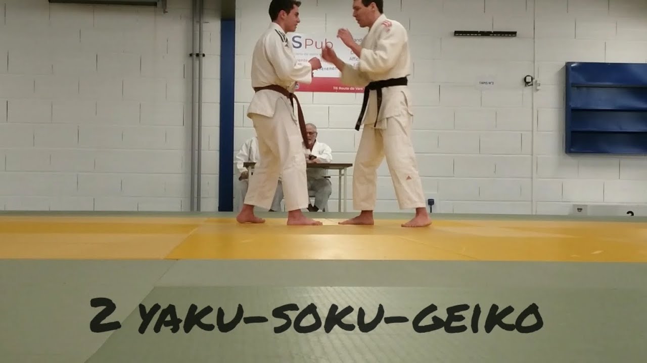 Passage 1 DAN JUDO UV2 b) Exercices d'application (100% validé)