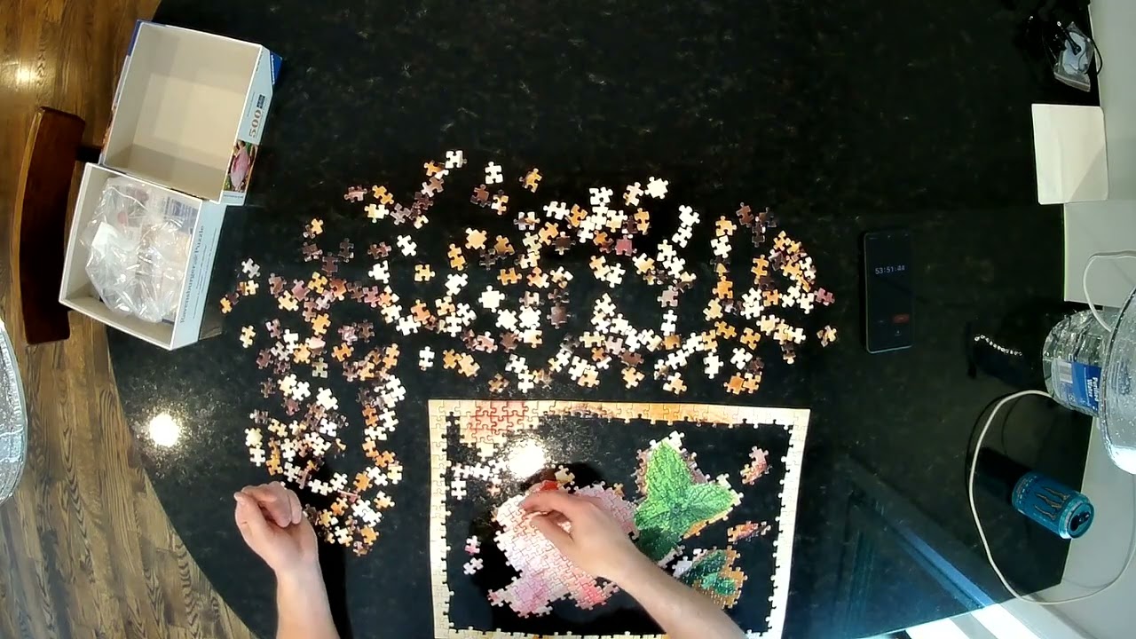 500 Piece Puzzle Timelapse - August 23rd, 2025