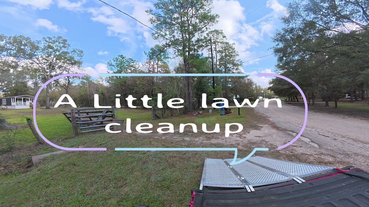 A Little Lawn Clean up