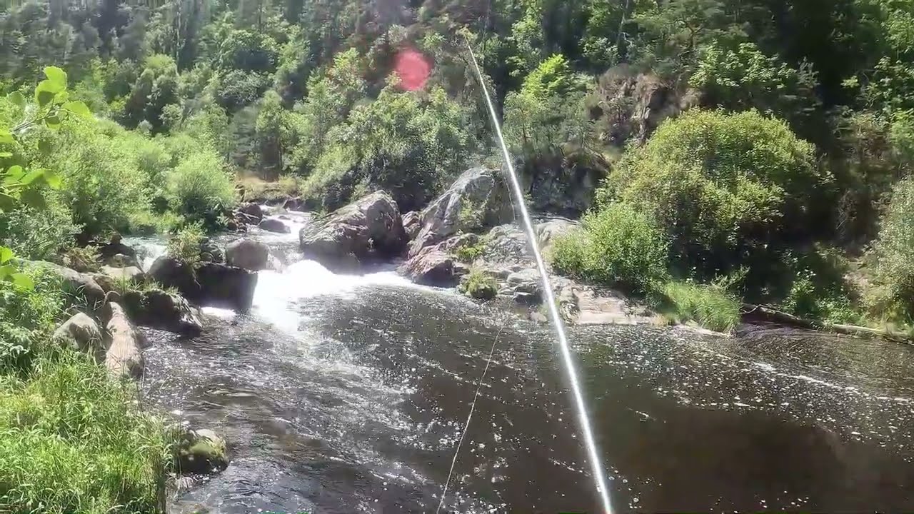 Peche a la truite dans une riviere de Haute Loire.