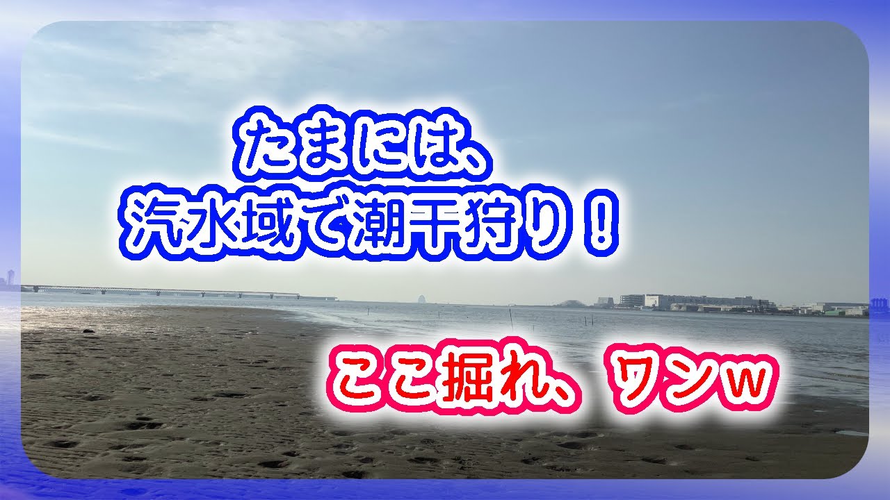 【潮干狩り】多摩川、汽水域で貝をゲット！