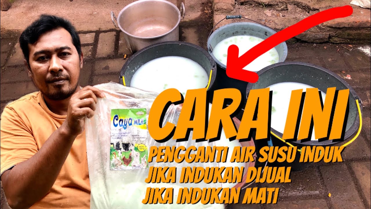 PAKAI INI, Skim Bubuk Susu❗️Pengganti Air Susu Indukan Sapi