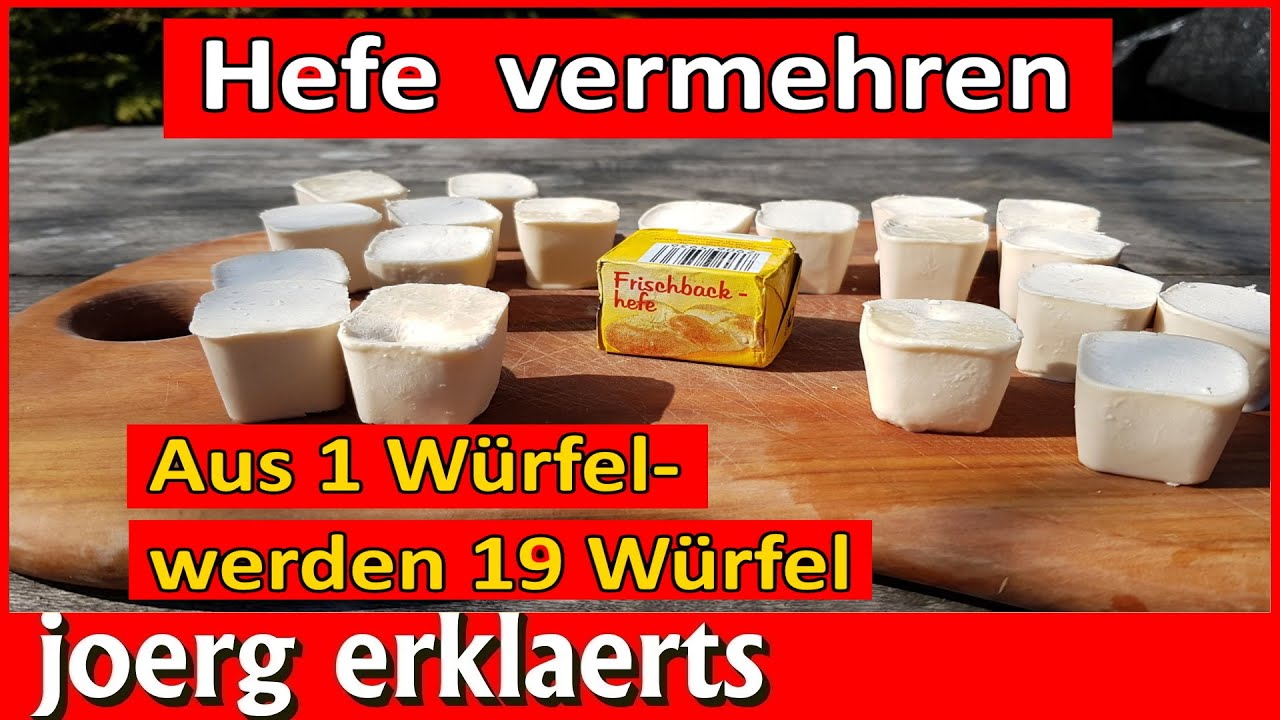 Hefe vermehren z&uuml;chten Aus 1 W&uuml;rfel mach 19 Lockdown  Backhefe selber machen Tutorial No.320