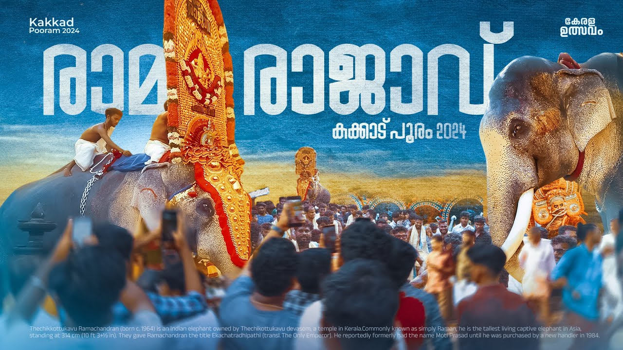 ഒരേ ഒരു രാജാവ് തെച്ചിക്കോട്ടുകാവ് രാമചന്ദ്രൻ | Thechikottukavu Ramachandran | Kakkad Pooram 2024