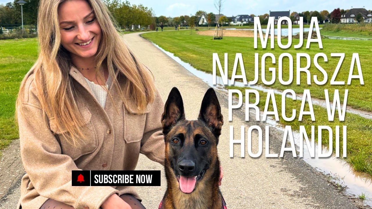 Moja najgorsza praca w Holandii