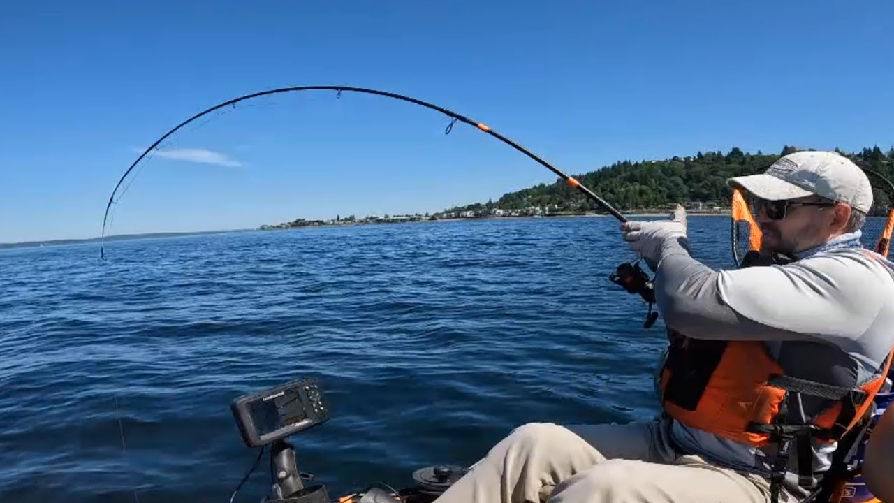 A HUGE LINGCOD Latched onto my 28 INCH LINGCOD???!!!