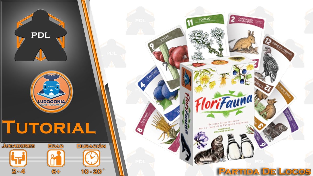 Florifauna | Tutorial | Ludogonia juegos patag&oacute;nicos | Partida de Locos |