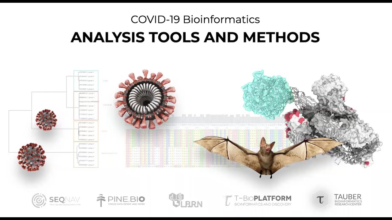 COVID-19: Bioinformatics tools for analysis of SARS-CoV-2 coronavirus genomes and viral proteins.