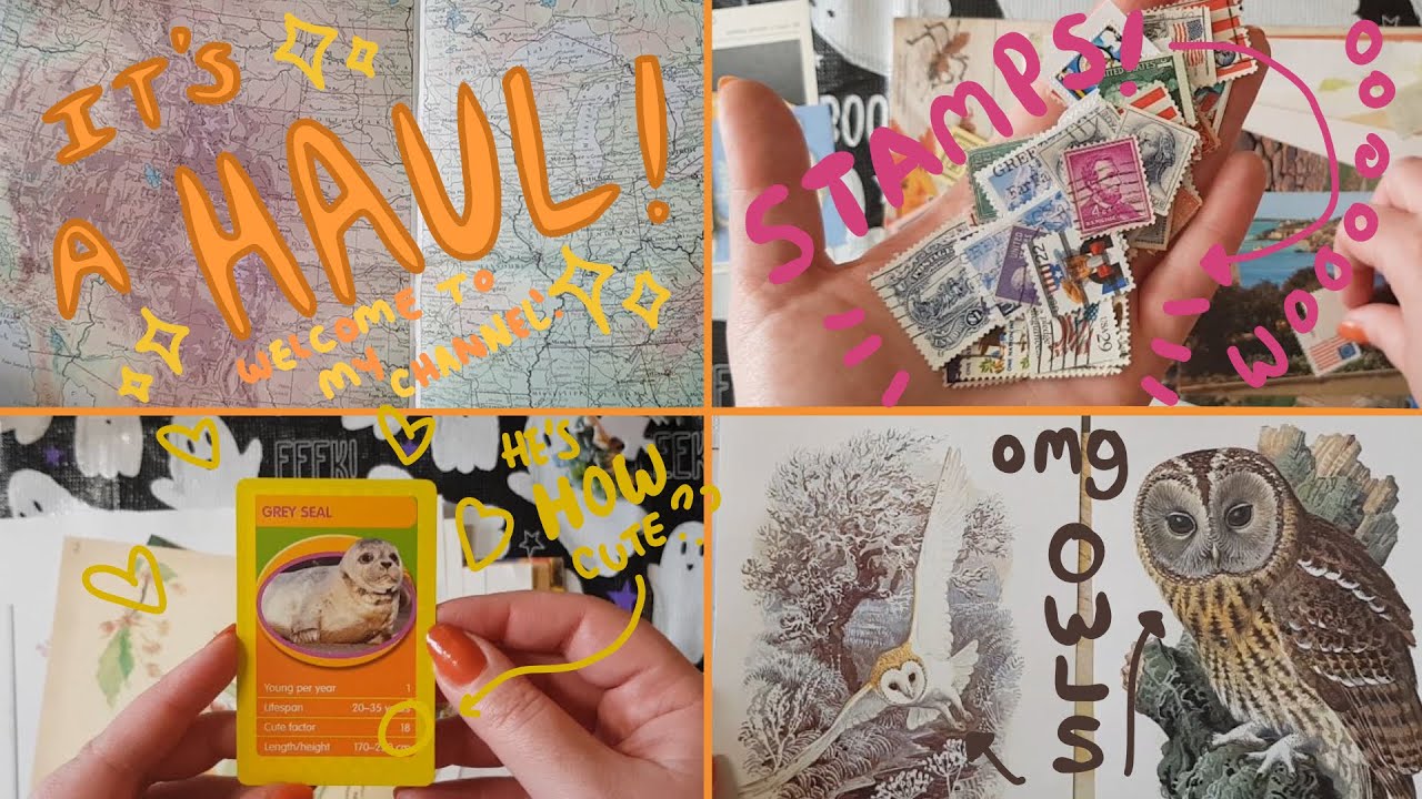 My First Video! ✨ | Charity Shop Craft Haul