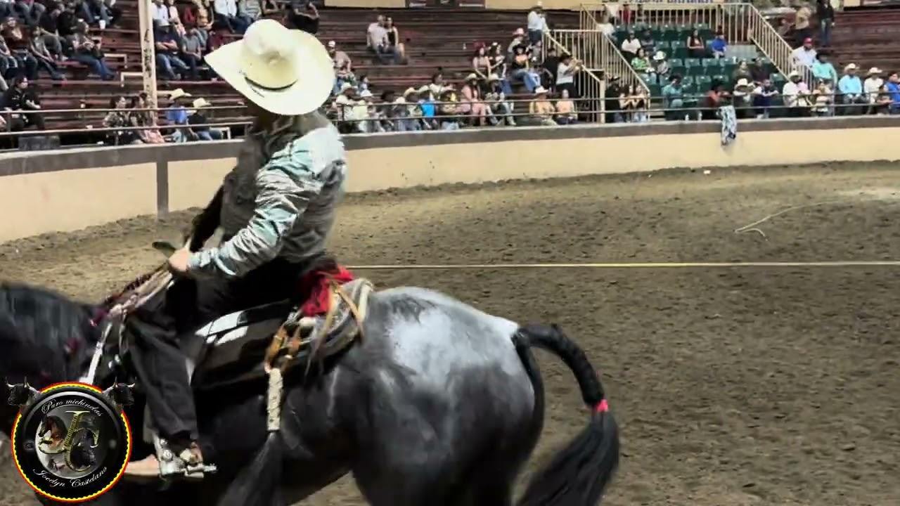 Segundo Toro: Los Herederos de Waller, Tx 🐴 vs. El Solitario - Los Barranqueños 🐂