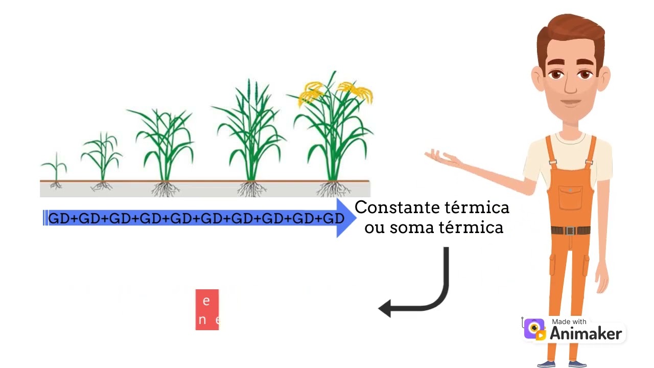 Graus-dia: conceito, aplicação, como calcular.