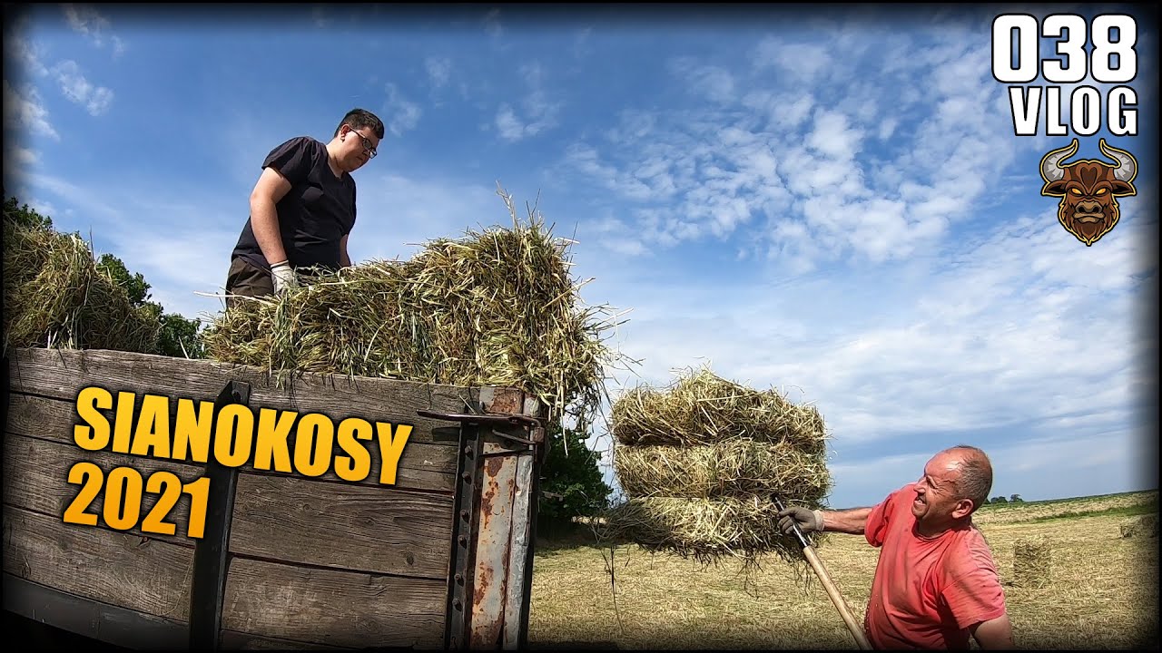 Sianokosy 2021 - Zbieranie siana w starym stylu :) | Vlog #38