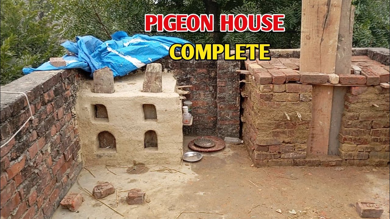 Finally! 😊 आज काम पूरा हो गया है😊 Pigeon house🏠