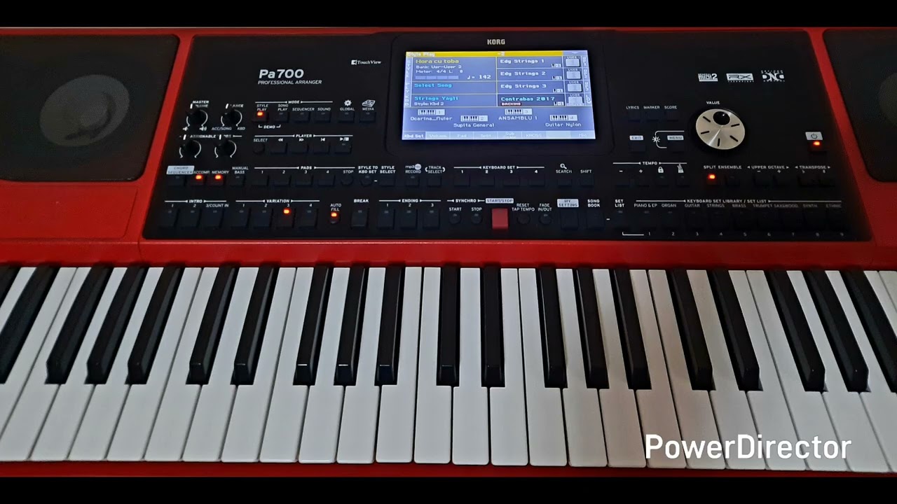 Hore de joc la orgă korg pa700