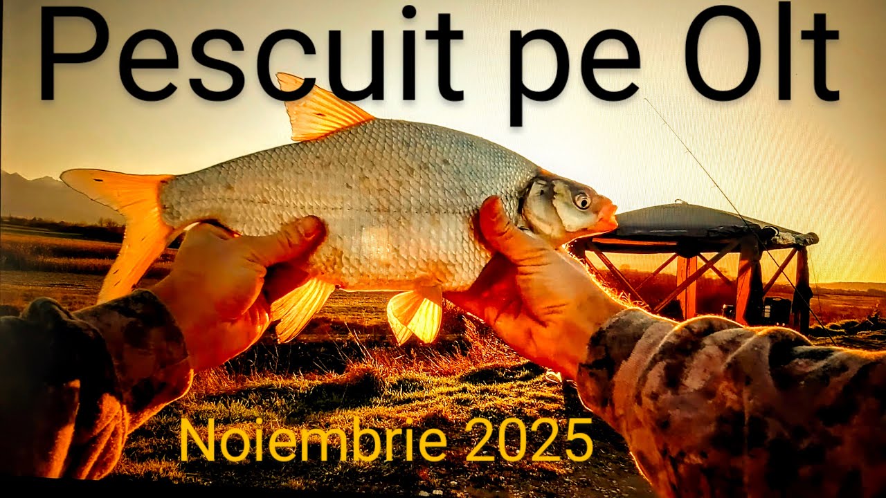 Cum să prinzi pește pe Olt,ce mănâncă peștii în sezonul rece? sub 0