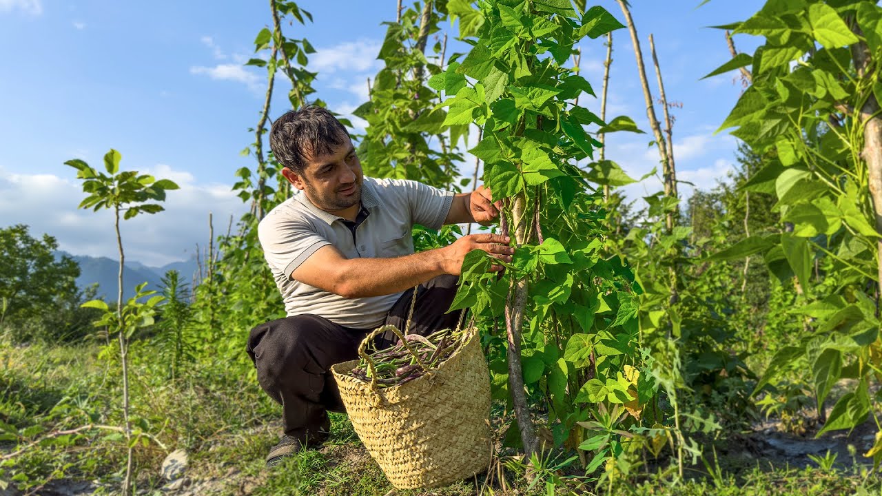 A Day in My Village Life / Harvesting Vegetables & Outdoor Cooking / Simple Living