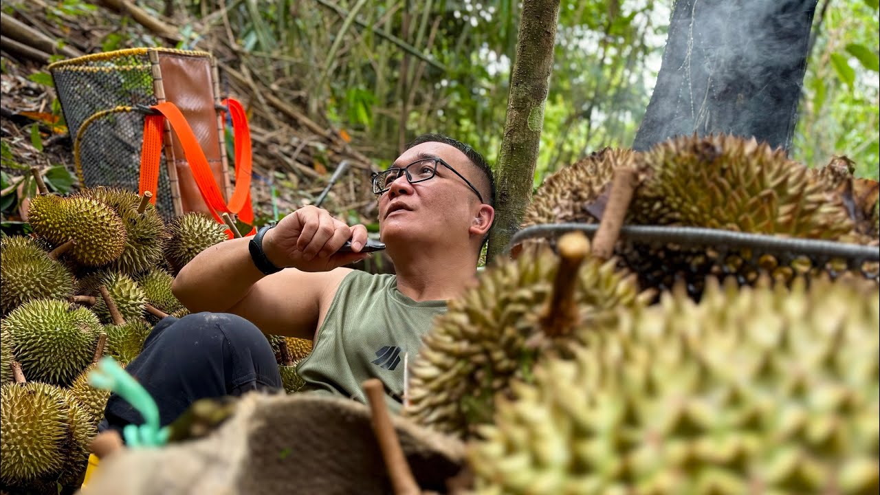 Carrying durians up the slope