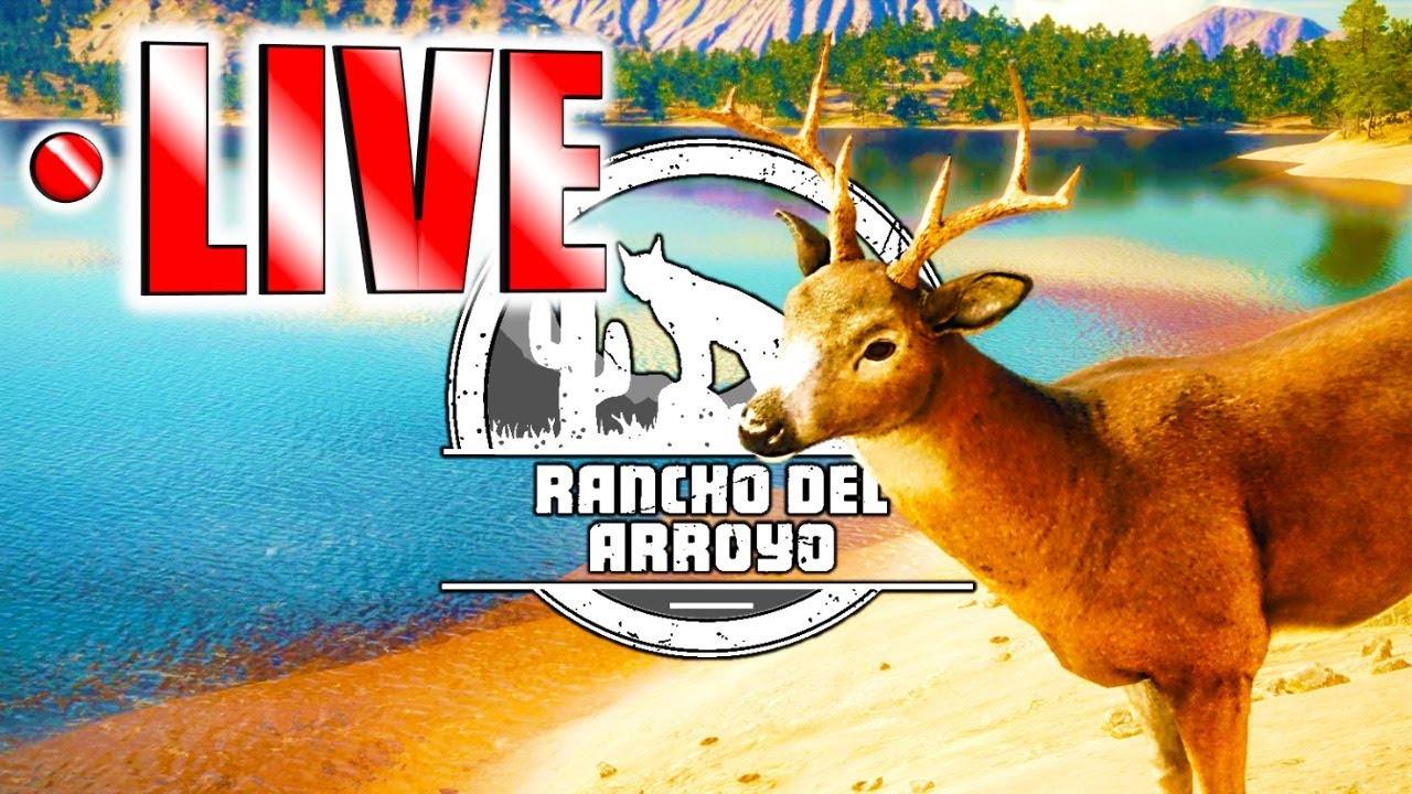 First Hunt on Rancho Del Arroyo! | LIVE