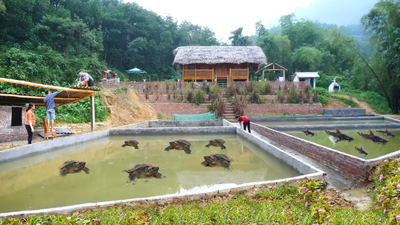 REWIND TIMELAPSE: 210 Days process: The girl builds a pond and a livestock pen to create an economy.