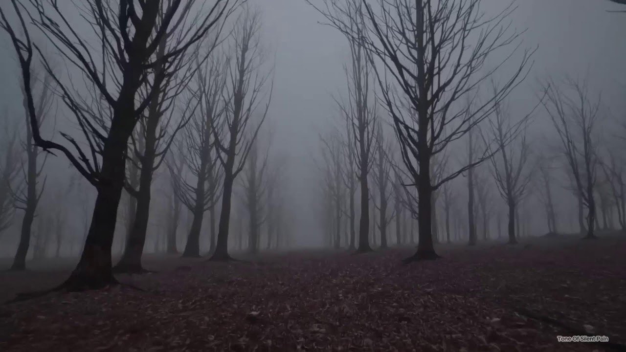 Piano Instrumental, Calm, melancholic sleep ASMR music -  Relax / Sad / #classicalmusic
