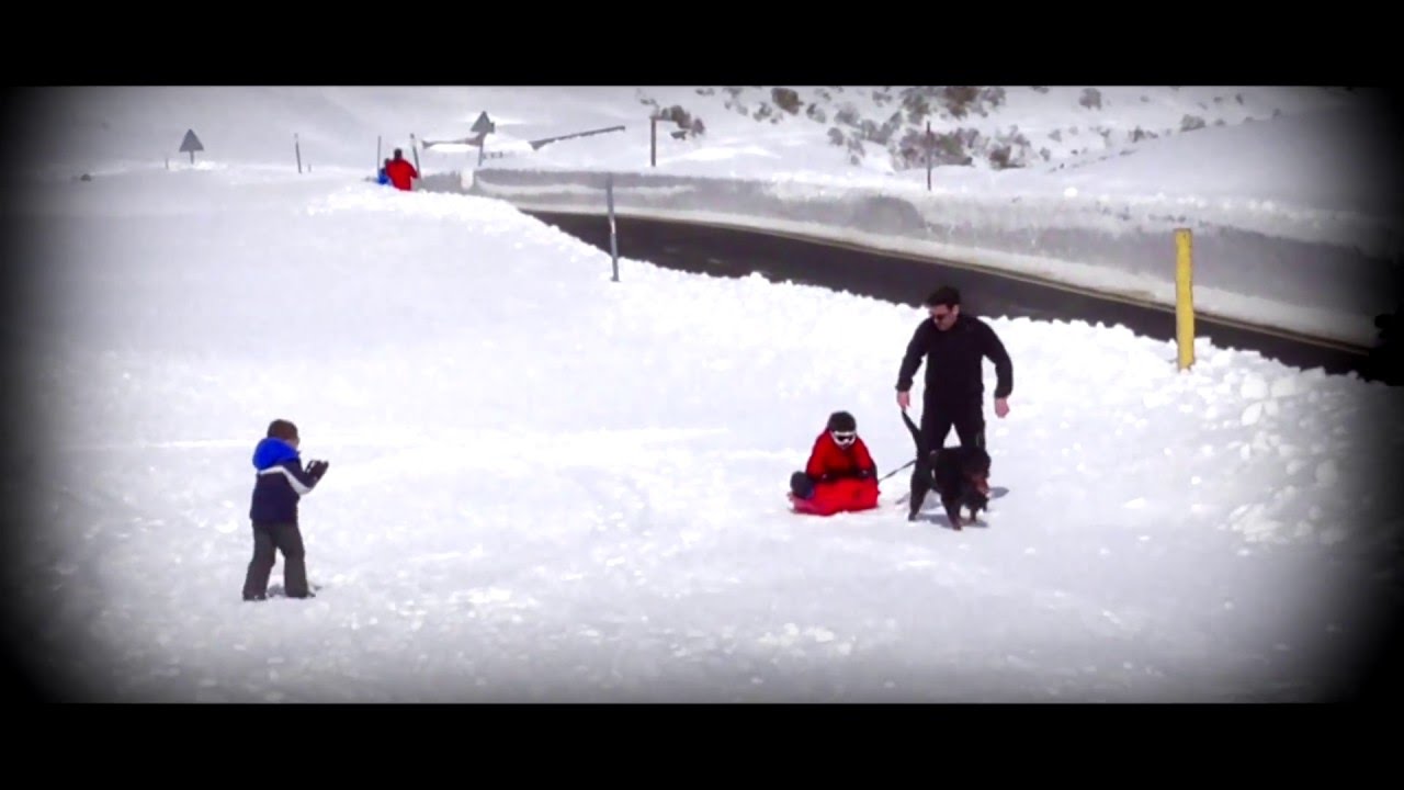 Día de Nieve 3/2016