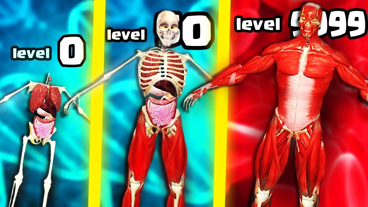 IS THIS THE HIGHEST LEVEL STRONGEST BODY HUMAN EVOLUTION? (9999+ ORGANS MUSCLE CELL) l Idle Human