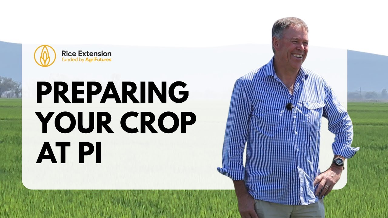 Quick Guide: Preparing for PI