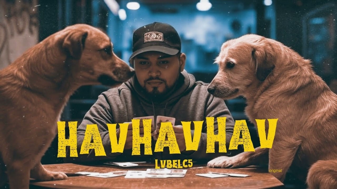 Lvbel C5 - HAVHAVHAV (Dj Zuxa Remix)