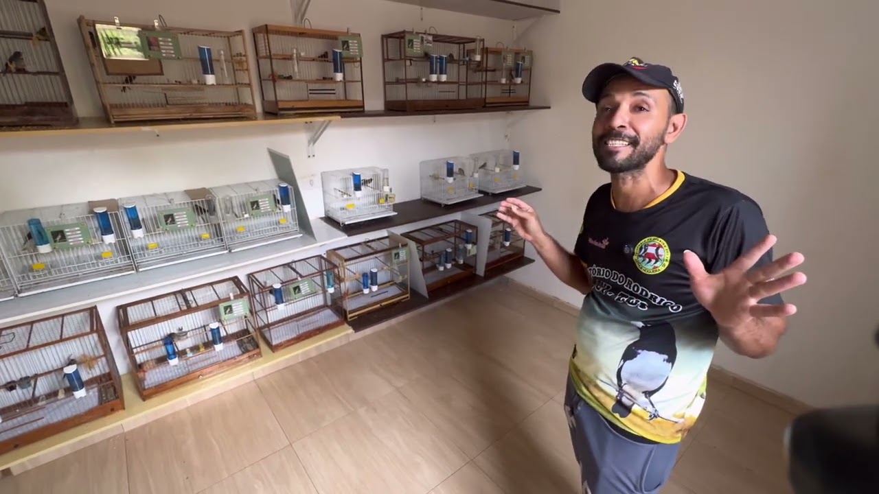 O FILHOTE SAI DIFERENTE ESBAGAÇANDO TUDO DE TANTO CANTAR