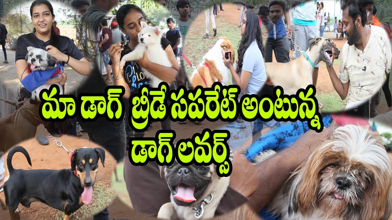 DOG LOVERS IN DOGS PARK NECKLACE ROAD HYD  || నెక్లెస్ రోడ్లో అన్ని బ్రీడ్ ల కుక్కలు || PART-1