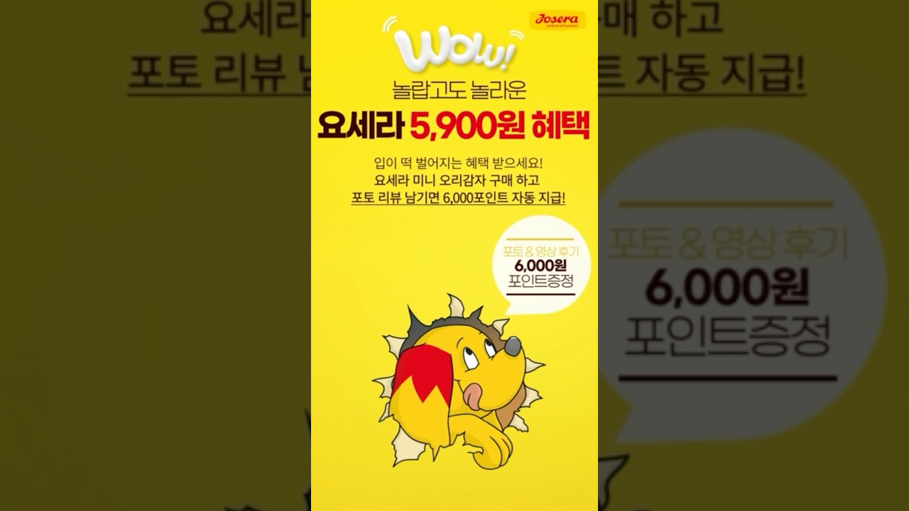 요세라 신제품 미니 오리감자를 5천원대로 구매하는 방법!! #소형견사료 #요세라 #강아지사료추천