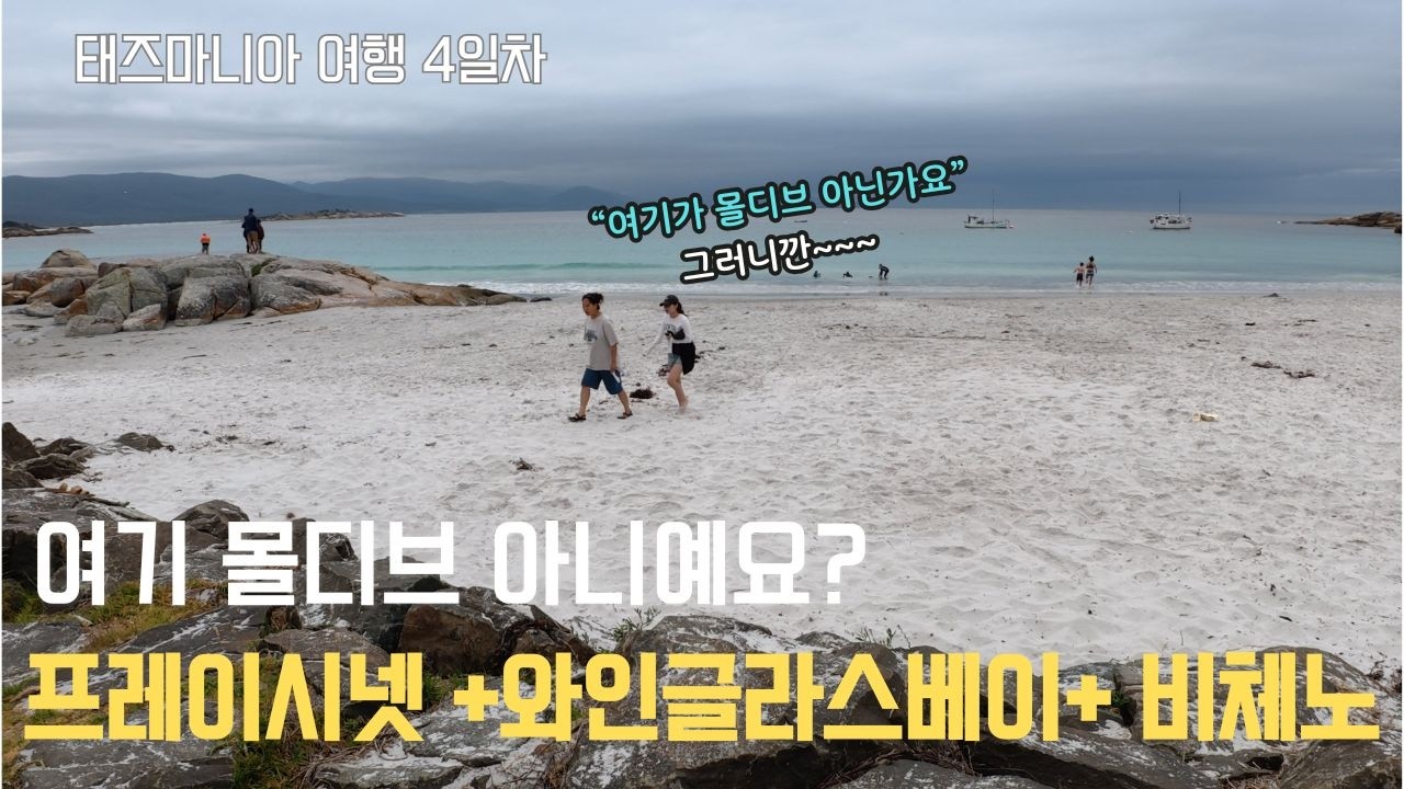태즈마니아 4일차/프레이시넷 국립공원 완전정복 | 와인글라스베이 + 케이프 투어빌 라이트하우스 + 비체노 여행/여행은마리