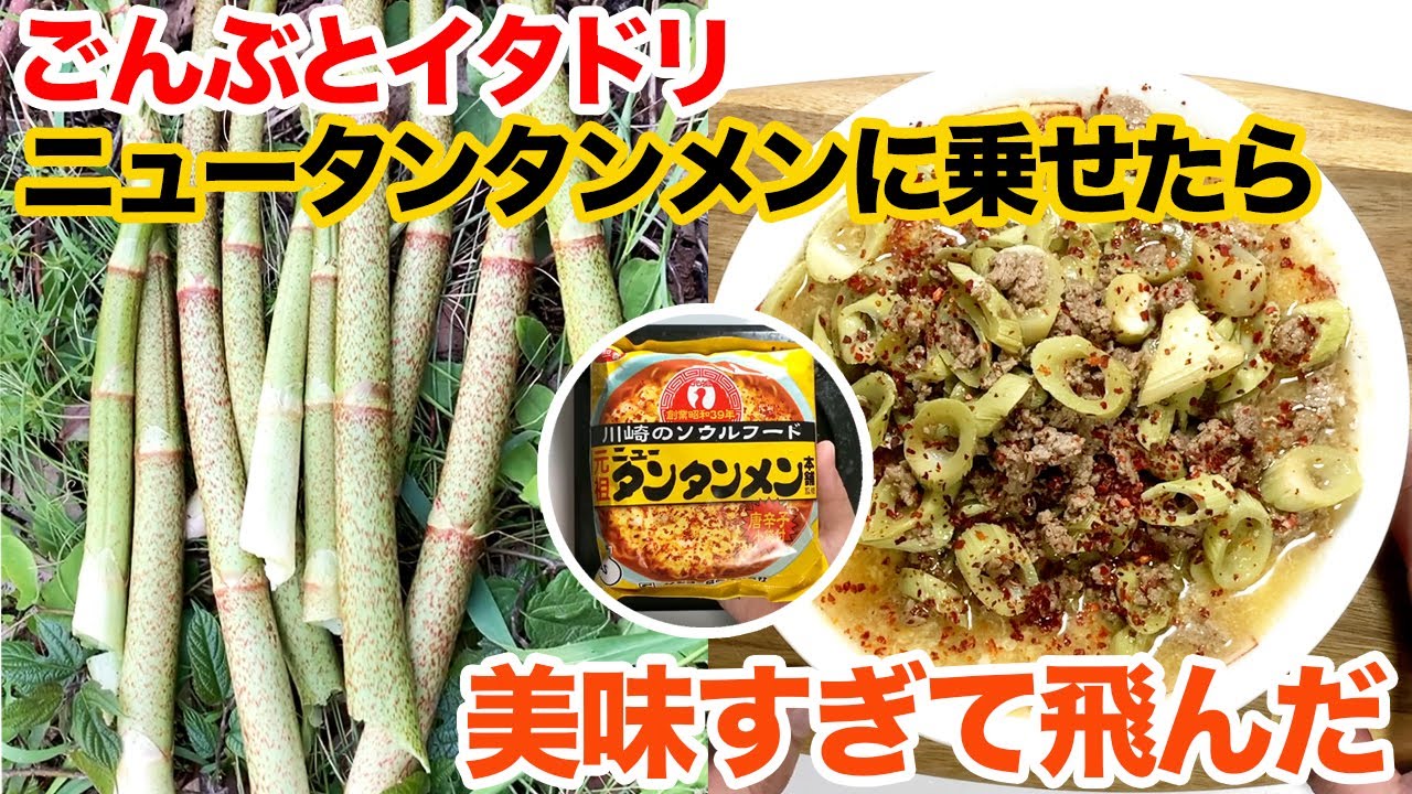 ごんぶとイタドリをニュータンタンメンに乘せたら美味すぎて飛んだ