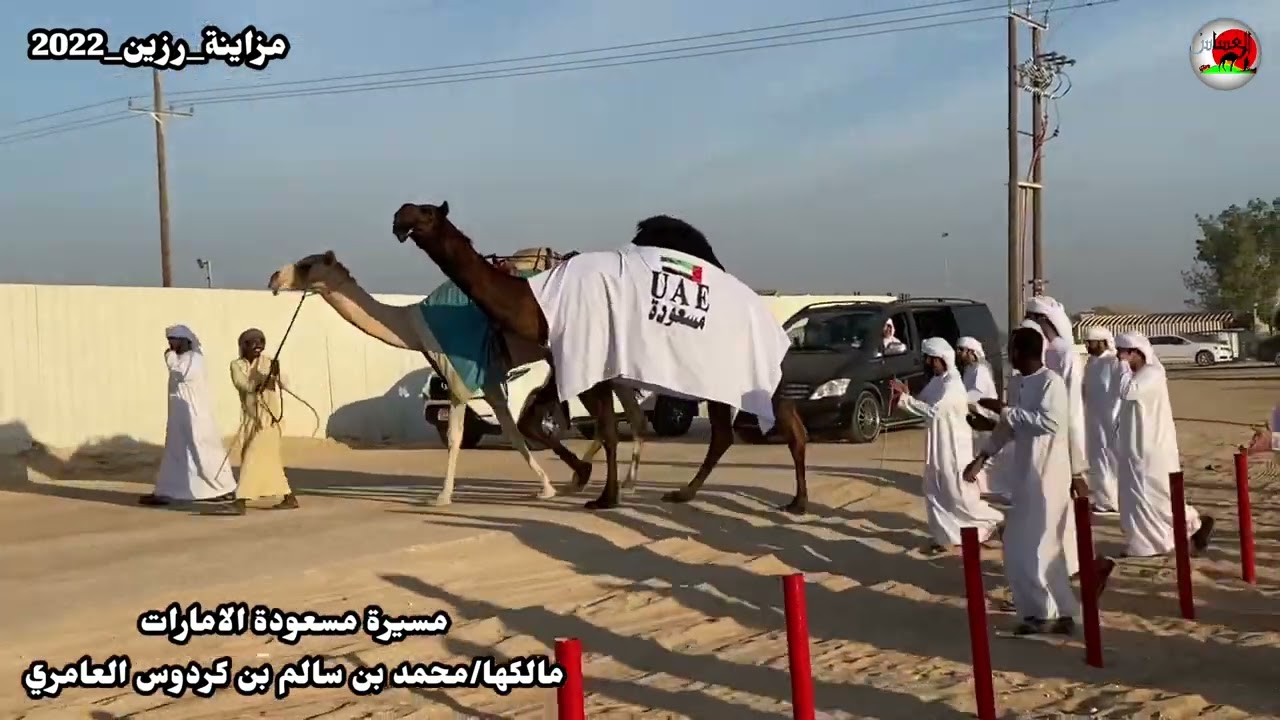 مسعوده لمالكها /محمد بن سالم بن كردرس