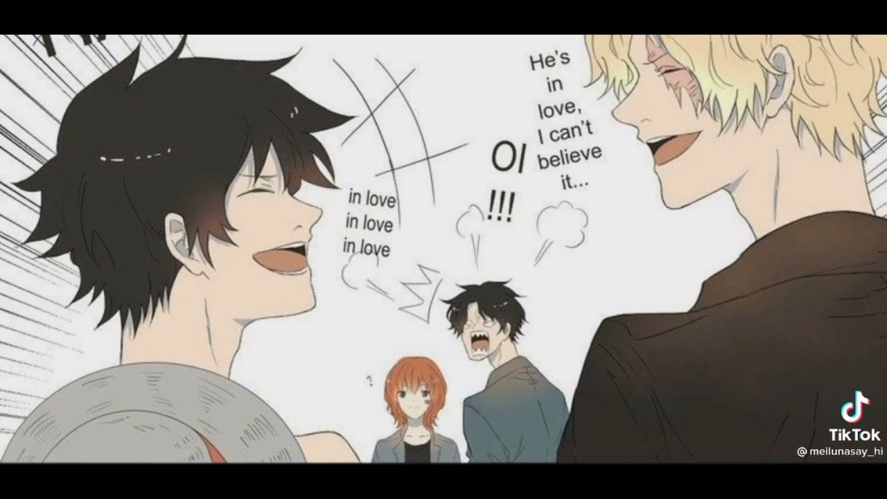 Tiktok luffy x nami