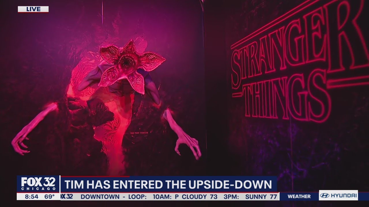 A demogorgon has descended on Oak Brook inside The Stranger Things Store