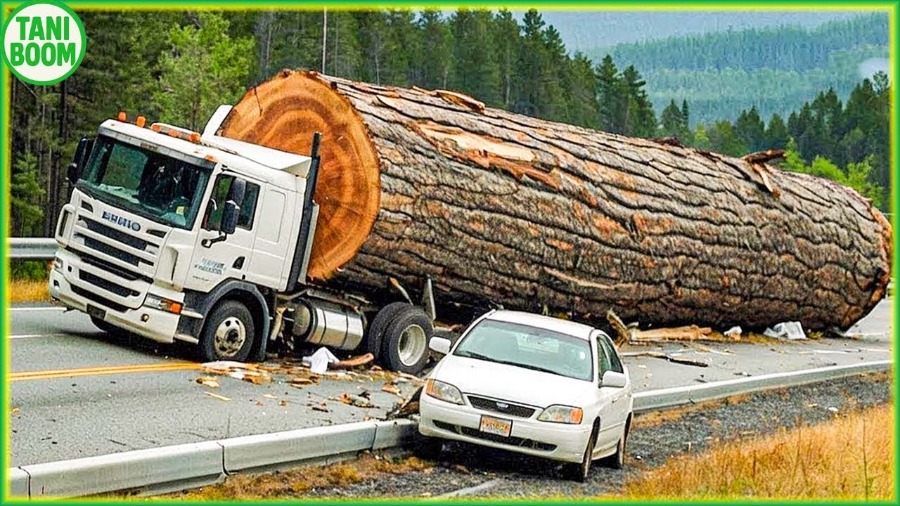 Mengangkut Kayu Besar Dengan Cara Ini - Mesin Berat Terbesar di Dunia | Teknologi Pertanian