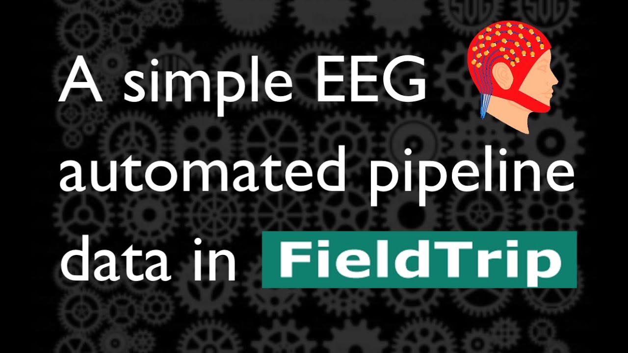A FieldTrip EEG automated processing pipeline