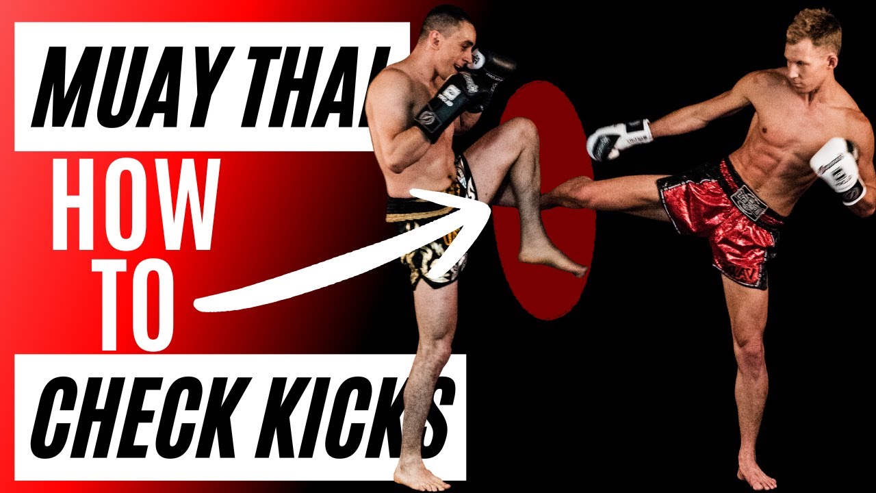 Muay Thai How To CHECK Kicks | Beginner Defense Basics