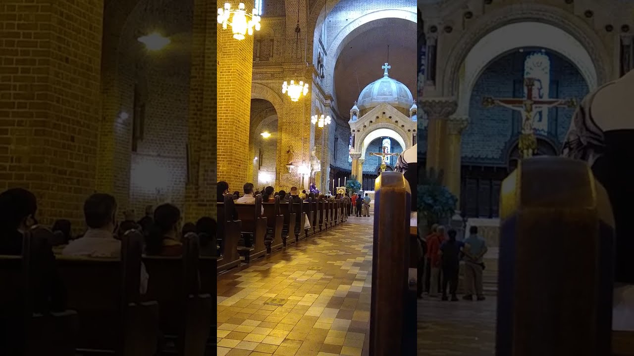 Perdona a tu pueblo Señor | Organo Walcker Catedral de Medellin