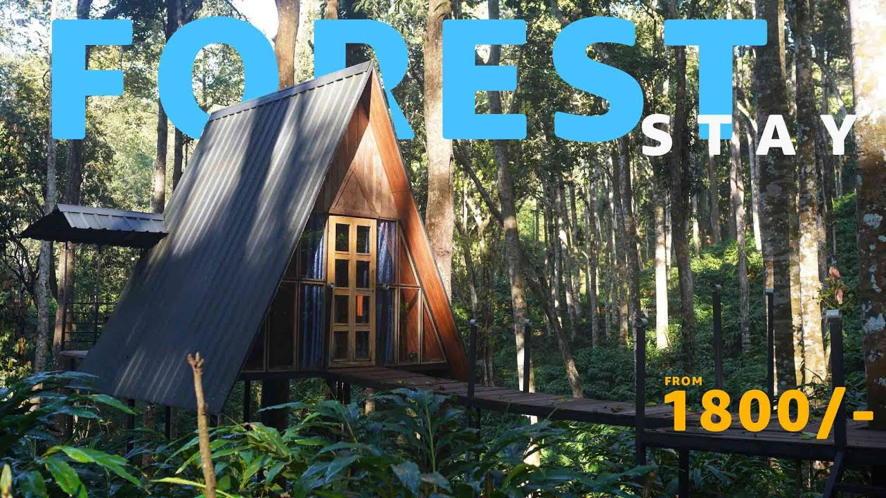 Rs.1800/- போதும் | Wayanad Tent stay | Glamping | Wild vibes